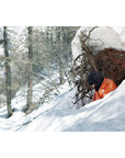 Lifesystems Thermal Bag hide