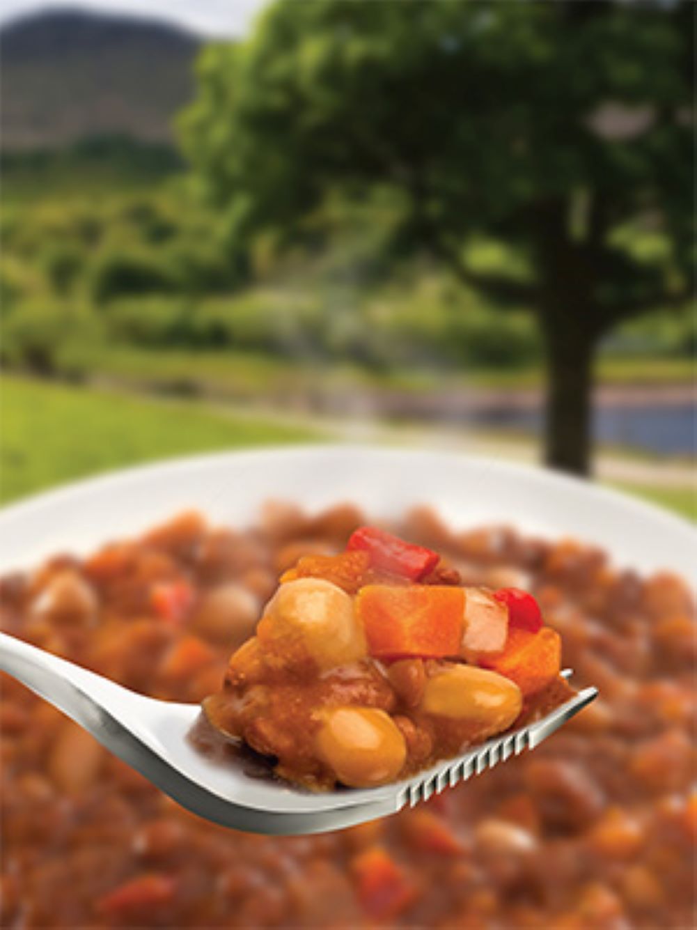Wayfayrer Moroccan Style Bean Stew (Vegan)