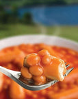 Wayfayrer Beans & Sausage - Outdoor Camping Ready to Eat Meal Pouch beans