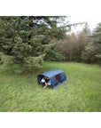 Vango Sierra 300 - 3-Man Tent (Deep Blue) top view tent