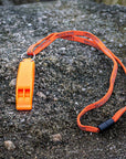 Lifesystems Safety Whistle on a rock