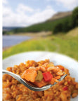 Wayfayrer Vegetable Curry &amp; Rice - Outdoor Camping Ready to Eat Meal Pouch fod