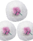 Silva Primus Lantern Mantle Replacements