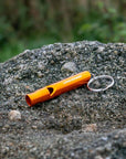 Lifesytems Mountain Whistle rock